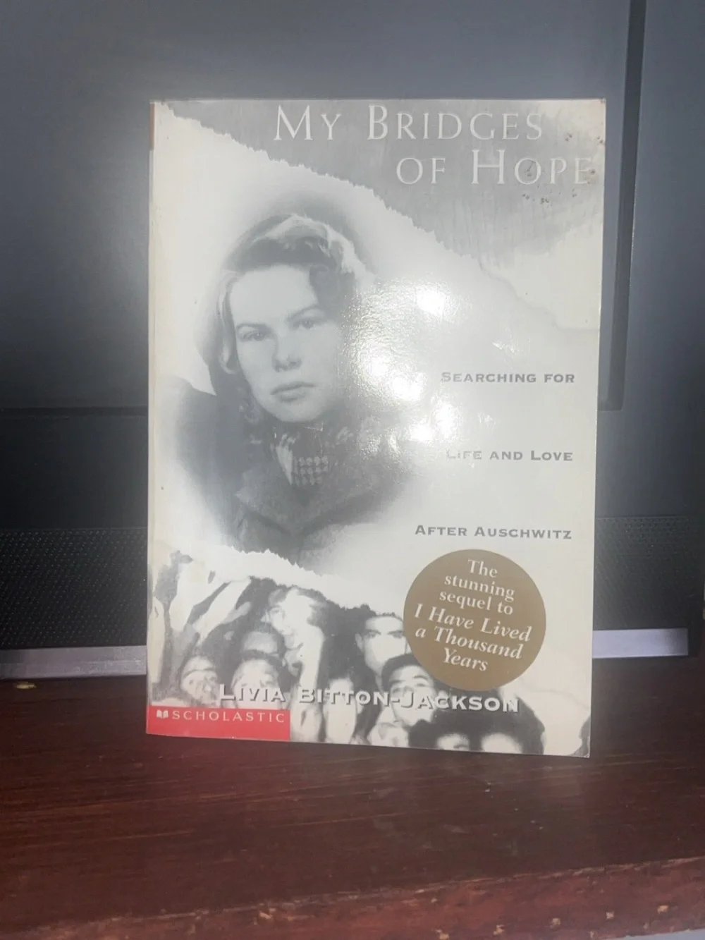 Scholastic My Bridges of Hope Book - White and Black Cover